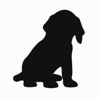 Black Dog